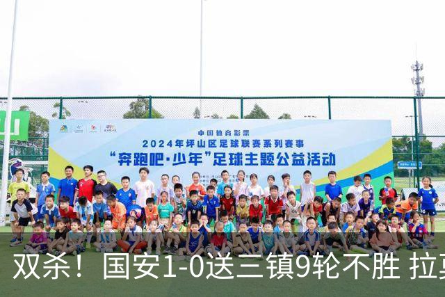 双杀！国安1-0送三镇9轮不胜 拉莫斯头槌制胜张稀哲疑似重伤伤退